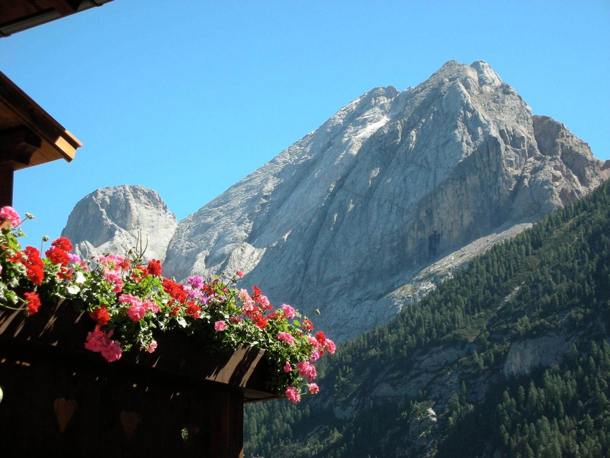 Single Room Mountain View
